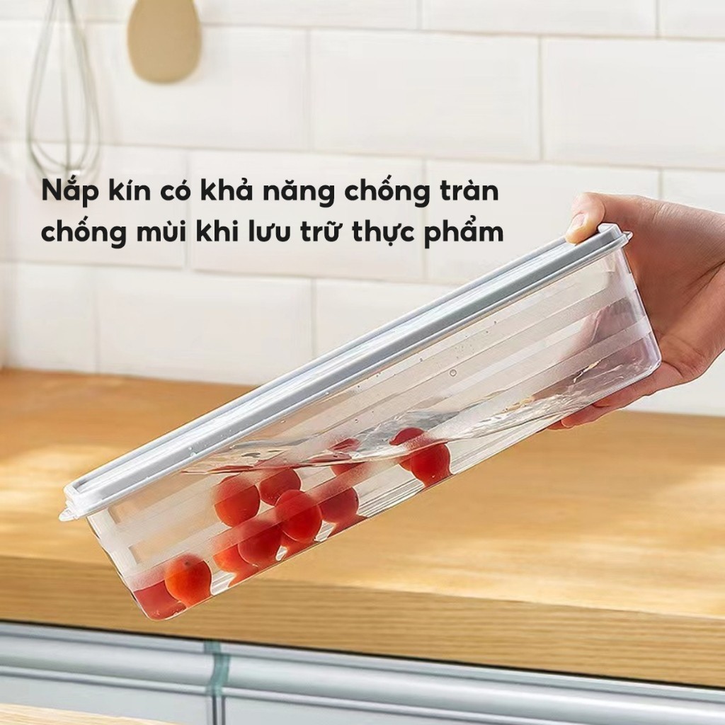 Hộp nhựa đựng thực phẩm tủ lạnh, Hộp trữ đông bảo quản rau hoa quả mì đồ ăn nhựa an toàn sức khoẻ - FE123
