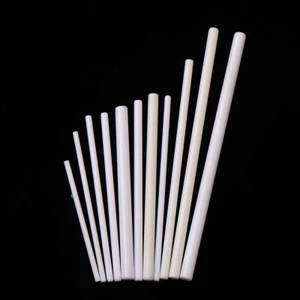 QIUWU 2 Chiếc Trục Gốm Bơm Chìm Trục Cánh Quạt Chắc Chắn Chống Mài Mòn Bộ Phận Cách Nhiệt Đường Kính 2.5mm-6mm Phụ Kiện.