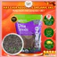 Hạt Chia Úc 1KG Absolute Chuẩn Organic Chất Lượng Sạch Đều Đẹp Ăn Kiêng Giảm Cân