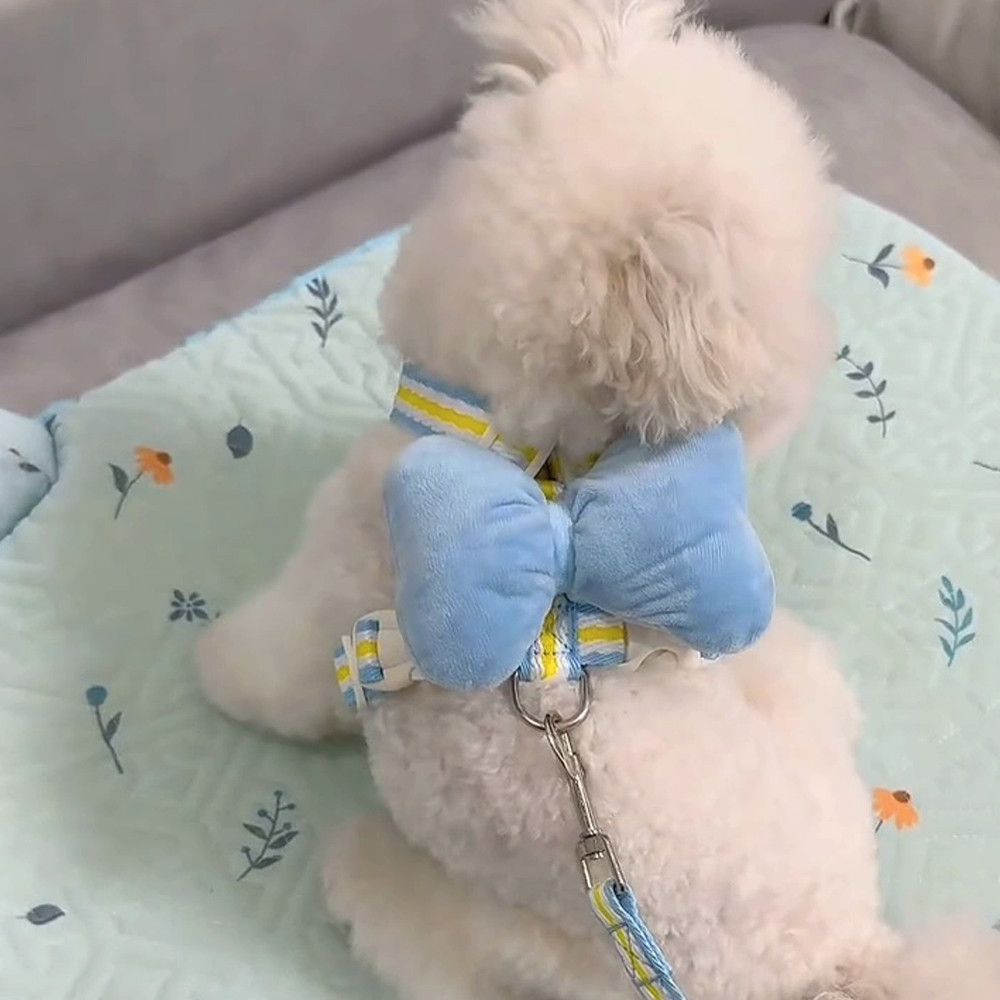 [Pet-Eleven] Nơ Ngực Lưng Dây Xích Chó Phong Cách Mùa Hè Thoáng Mát Cho Chó Ngực Ngoài Trời Dây Xích Đi Bộ Chó Dễ Thương Đi Bộ Dụng Cụ Tiện Dụng Teddy Pomeranian Maltese