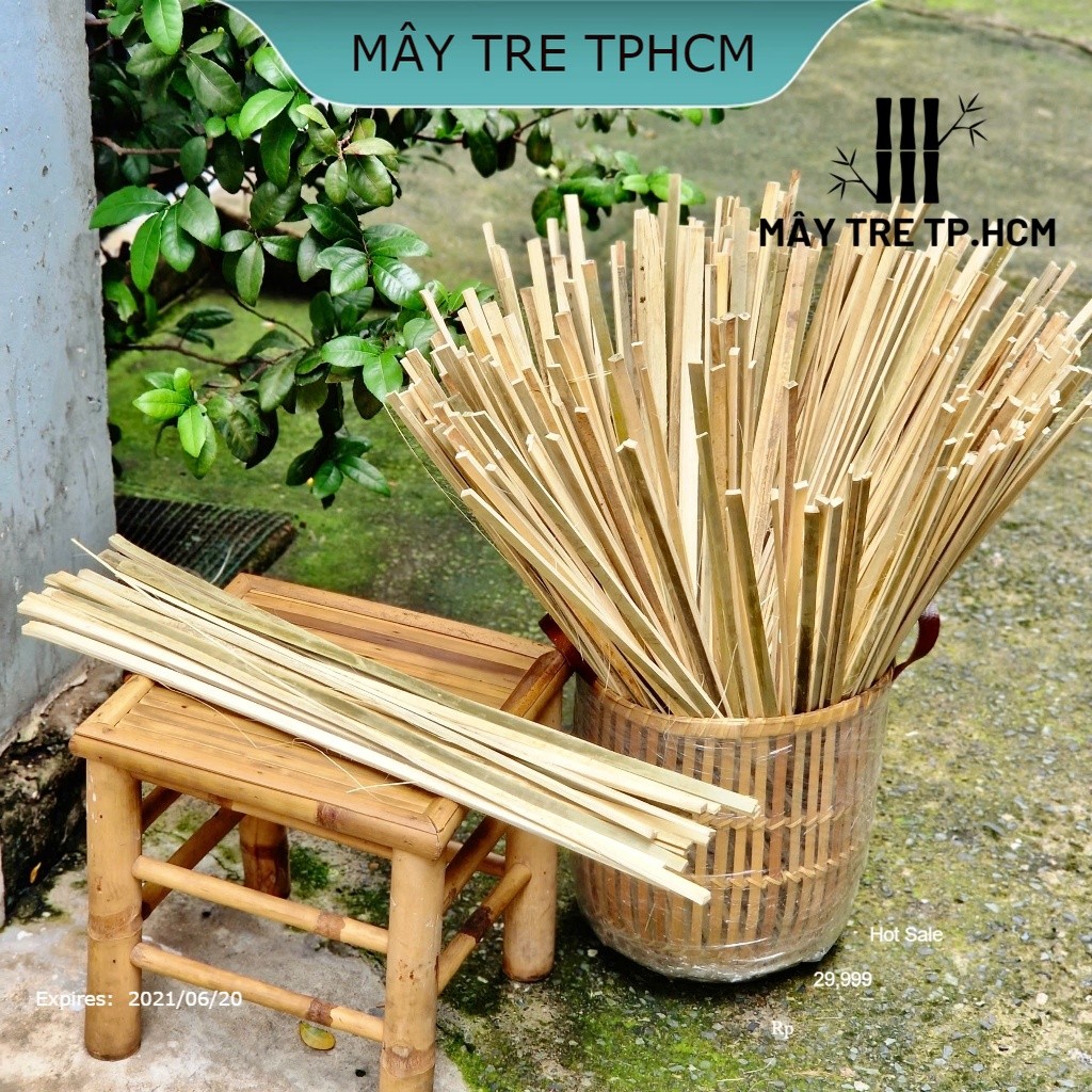 Cây tre - Giá Tốt, Miễn Phí Vận Chuyển, Đủ Loại | Shopee Việt Nam