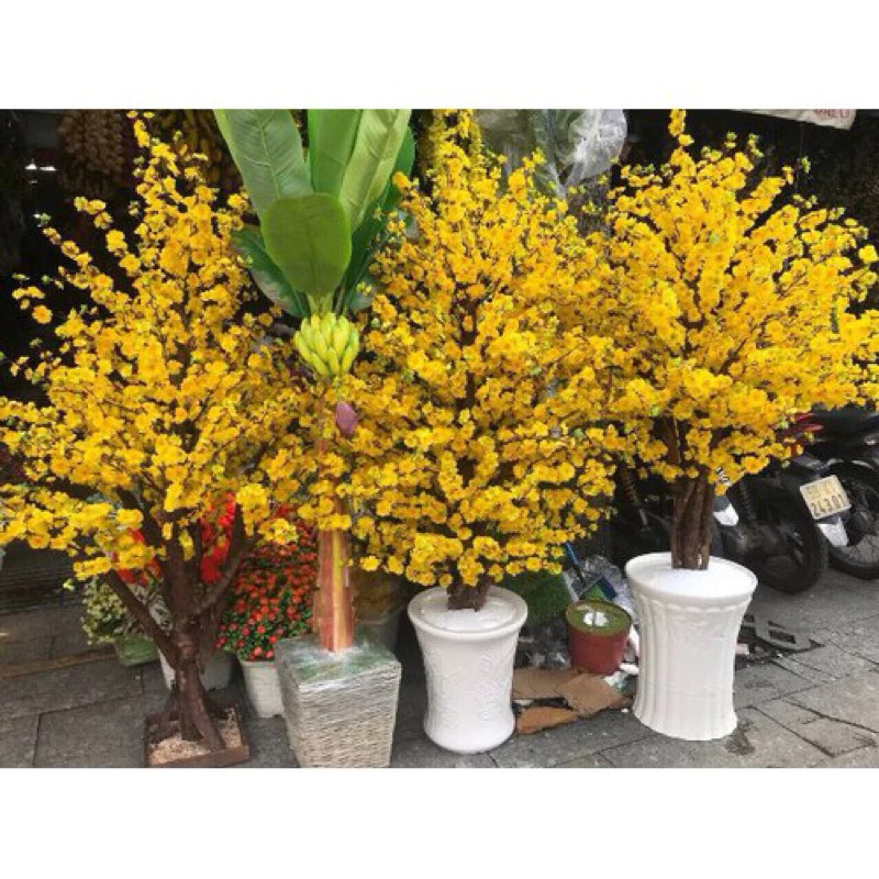 Sỉ Combo 10 Cành Hoa Mai Hoa Đào Giả Trang Trí , Decor Làm Cây Hàng Đẹp 5 nhánh