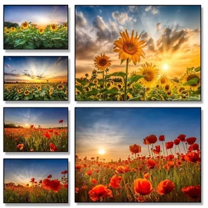 Cánh đồng hoa hướng dương cổ điển lúc hoàng hôn. Sun. Poster phong cảnh nông thôn. Tranh canvas nghệ thuật. Bức tranh tường. Hình ảnh phòng khách. Trang trí nội thất