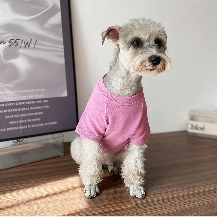 Quần áo thú cưng mỏng mùa xuân thu, Thích hợp cho Yorkshire, Bichon, Teddy và Schnauzer, Thiết kế thêu màu kẹo, Thích hợp cho mèo