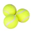 Quả bóng chơi thú cưng ROLY, Quả bóng Tennis không độc hại có độ đàn hồi, Cuộc thi bóng thực hành bền bỉ