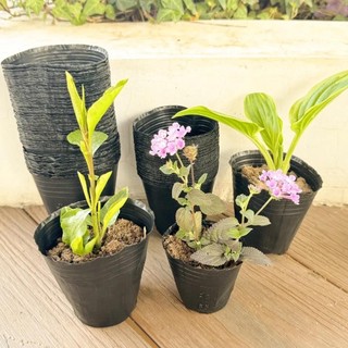 50 100 Chiếc Nhựa Hạt Giống Chậu Hạt Đen Trồng Túi Hoa Hộp Đựng Thoáng Khí Vườn Rau Chậu Trồng 100 cái phù hợp dùng cho gia đình căn hộ văn phòng và không gian nhỏ giúp sắp xếp làm sạch gọn gàng và sử dụng hằng ngày tiện lợi