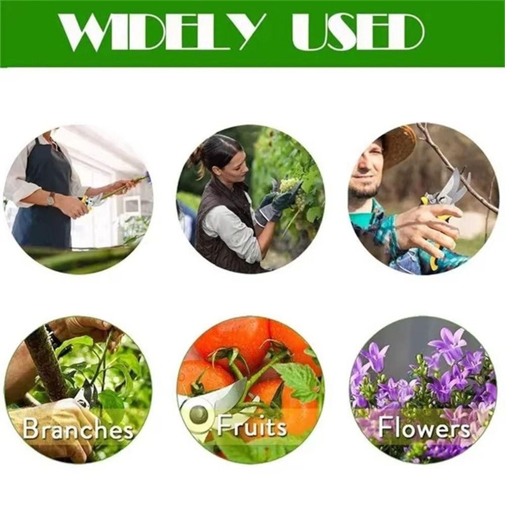 Kéo cắt tỉa cành PWSEND, Dụng cụ làm vườn hình mỏ chim Kéo làm vườn, Kéo cắt trái cây bằng thép không gỉ tiết kiệm nhân công chuyên nghiệp