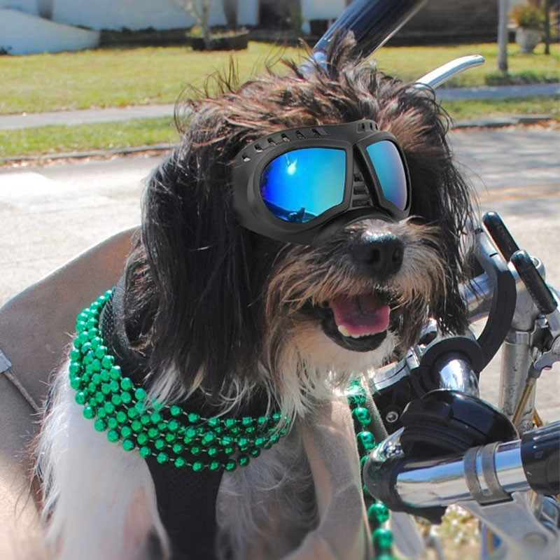 HamshMoc Adventure-Ready Dog Kính chống bụi Con dấu đường viền phù hợp với thiết kế thoáng khí để chạy bộ ngoài trời vui vẻ