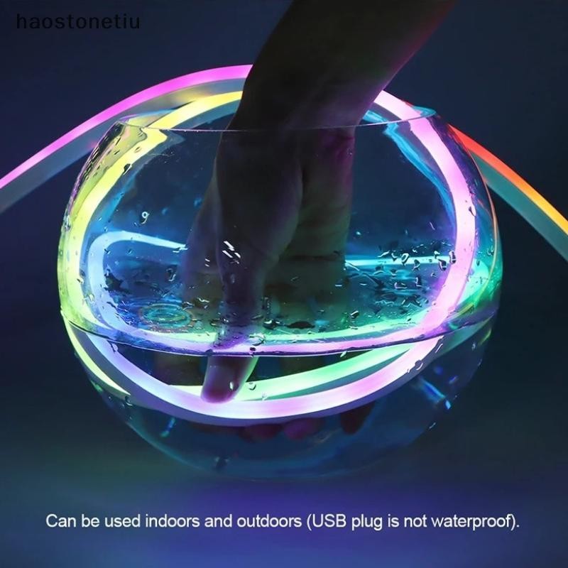 NS 5V RGBIC Đèn LED Neon Dây Đèn Neon Với Đồng Bộ Âm Nhạc DIY RGBIC Dreamcolor Đuổi Dải Băng Cho Trang Trí Nhà Chiếu Sáng NS