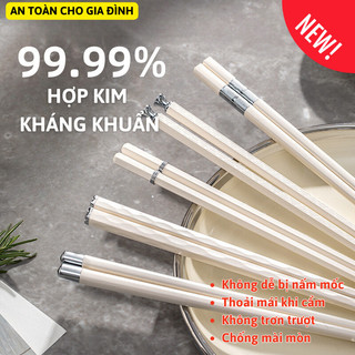Hộp 5 Đôi Đũa Hợp Kim Kháng Khuẩn Chịu Nhiệt Cao Myd.23 Đũa Sợi Thủy Tinh Ăn Cơm Cao Cấp Kiểu Dáng Hiện Đại