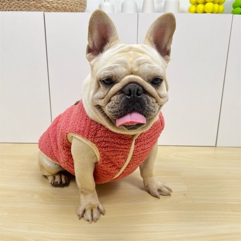 Dễ Thương Thú Cưng Chó Quần Áo Thu Đông Ấm Áo Lông Cừu Lót Gấu Áo Khoác Cotton Đệm OFU9