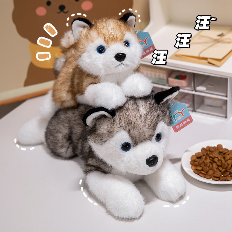 ✨Hàng có sẵn✨Kawaii Siberia Husky Sang Trọng Đồ Chơi 30-50cm Dễ Thương Husky Sang Trọng Búp Bê Gối Thú Cưng Vui Nhộn Đồ Chơi Nhồi Bông Gối Ngủ Mềm Đồ Chơi Cho Bé Trang Trí Nhà Trẻ Em Quà Tặng Sinh Nhật Quà Tặng Giáng Sinh COD
