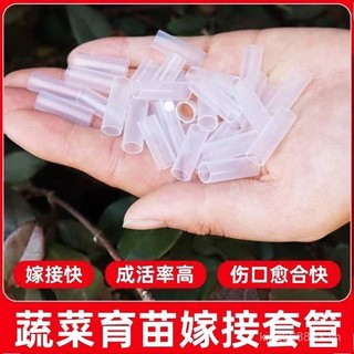 Rau Quả Cây Trái Cây Chuyên Dụng Ghép Tay Cà Chua Cây Giống Dưa Hấu Ghép Ống Silicon Nhánh Hoa Ghép Ống IUZM