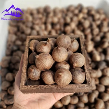 Tỏi đen cô đơn Tây Bắc loại 1 (500g, 1kg), tỏi đen cô đơn, 1 nhánh Yên Châu, Sơn La lên men tự nhiên