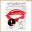 Đầu nối RD X36A 36A vào cáp kiểm tra kẹp cá sấu và cáp truyền thông loại vi mô cho đầu ra RD6024 RD6030