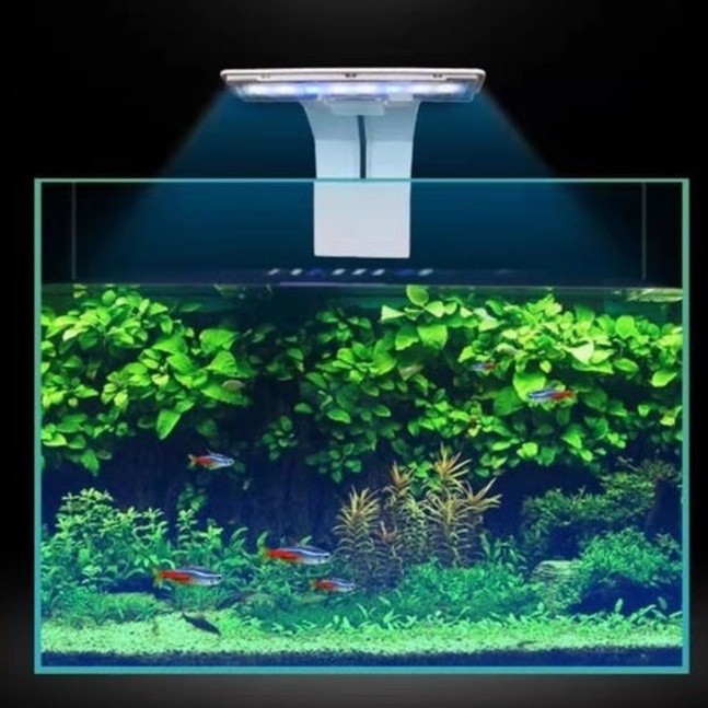 Đèn Led Kẹp Bể Cá Mini Có Nhiều Chế Độ Màu