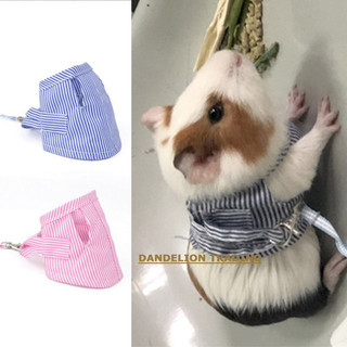 [DANDELION] Dây xích ngoài trời cho thú cưng, chuột đồng, bạch tuộc, sóc, chuột lang, dây nịt sọc cho thỏ nhỏ, quần áo cho chuột lang, quần áo cho chuột lang