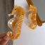 Mũ kẹp tóc KANGN, Bộ kẹp tóc sinh học biển hình học, Mũ đội đầu thời trang động vật đại dương cá tính Acetate Hair Gras Party