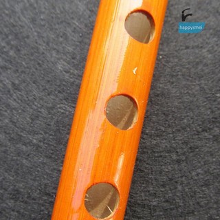 [Gi] Sáo tre truyền thống 6 lỗ Clarinet Nhạc cụ học sinh Gỗ AU TH