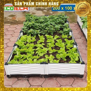 Chậu lắp ghép nhựa HDPE/PP 200x100x23cm: Thẩm mỹ, bền bỉ, dễ lắp đặt, phù hợp mọi cây trồng đô thị
