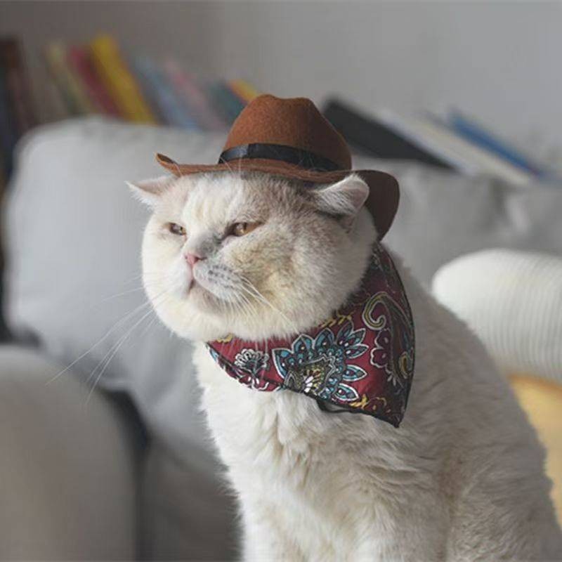 【Ready Stock】 Western Cowboy on the Run Cat Hat Dog Small Headwear Helmet Pet Photo Cute Cute Cute Mini 1YfM