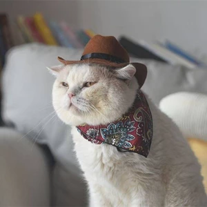【Ready Stock】 Western Cowboy on the Run Cat Hat Dog Small Headwear Helmet Pet Photo Cute Cute Cute Mini 1YfM