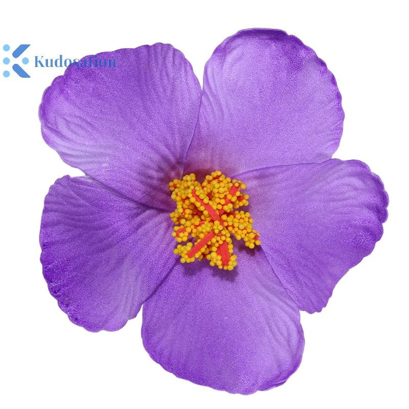 Kudosation Hawaii Hoa Nhiều Màu Sắc Cho Nữ Cô Gái Lãng Mạn Bohemian Hoa Bên Nổ Kẹp BB Kẹp Tóc Phụ Kiện Tóc
