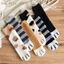Tất Cotton mùa đông BORAGETE, Tất nhung san hô ống giữa sang trọng, Phong cách dễ thương Mèo dày siêu mềm Họa tiết hoạt hình Sàn Sox cho nữ Ở trong nhà