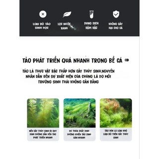Dung dịch diệt rêu và tảo ( YEE) - CHUYÊN trị rêu và tảo cho bể cá thủy sinh an toàn cho cá và hiệu quả - Cám Cá Store