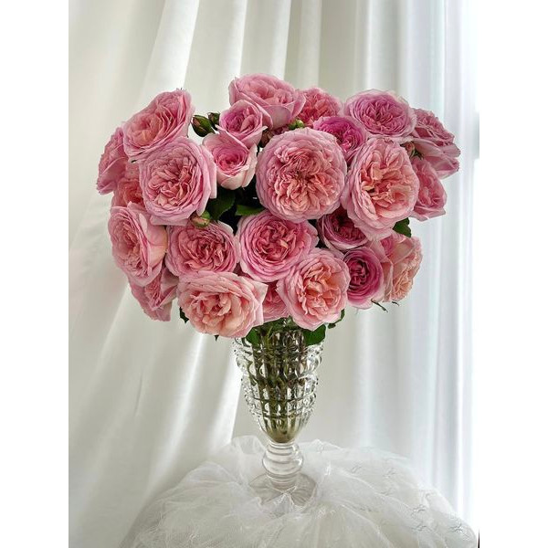 LỌ HOA DÁNG CÚP TRONG SUỐT 25CM,30CM SANG TRỌNG