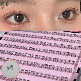 Manga Mềm Cụm Đáy Lông Mi Phân Đoạn Truyện Tranh Mi Cụm Cho Thời Trang Khiêu Vũ Đám Cưới