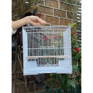 Lồng chứa chim - lồng tập trung - lồng sơn tĩnh điện