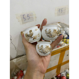 Cóng Chim chào mào cao cấp, cóng giáp vàng