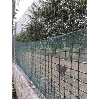 L2:Lưới nhựa nguyên sinh dài 50m cao 2m ô lưới 3x4cm lưới nhựa dẻo dùng làm hàng rào, và loại 2