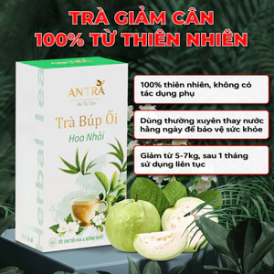 Hộp 30 Túi Lọc Trà Búp Ổi Hoa Nhài- Cà Gai Leo Đông Trùng ANTRA - Hỗ Trợ Tiêu Mỡ, Giảm Cân, Ngăn Ngừa Lão Hóa