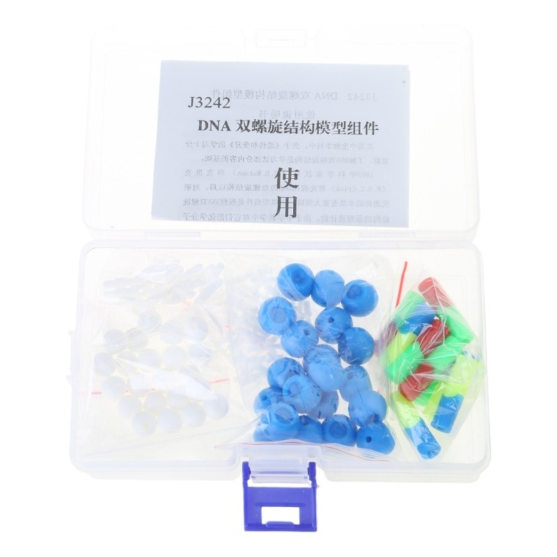 Bộ mô hình DNA xoắn đôi PPY Bộ thành phần DNA Mô hình cấu trúc di truyền DNA Mô hình học tập hóa học hữu cơ