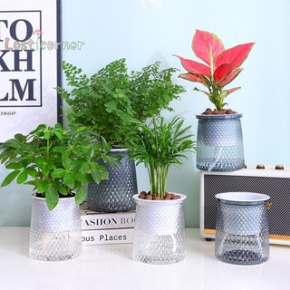 Lostcorner Hai Lớp Tự Tưới Cây Nồi Nhựa Trong Suốt Bình Hoa Tự Động Lười Chậu Hoa Thủy Canh Trang Trí Mới