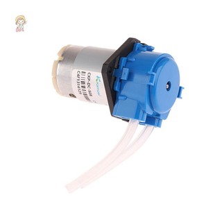 Máy bơm tự mồi TWE Máy bơm nước Máy bơm nhỏ Máy bơm tuần hoàn điện VN