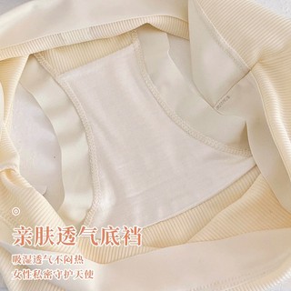 Quần Lót Nữ Cotton Tăm THỎ Chất Vải Mềm Mát Co Giản Thoải Mái Min Underwear 4431115