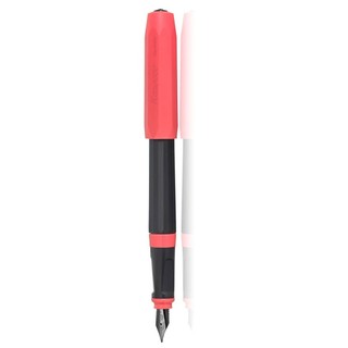 Kaweco Fountain Pen F Fine Nib Pakeo Bad Taste PO-BT Convertible Type Official Import