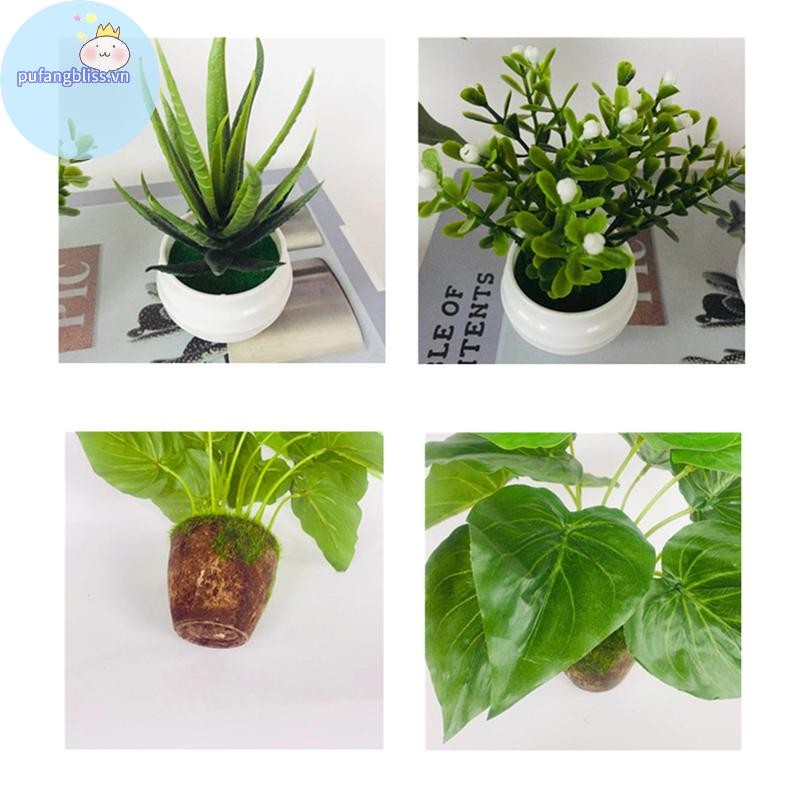 Pufangbliss Nhân Tạo Nhỏ Mô Phỏng Cây Chậu Cây Văn Phòng Bàn Đồ Trang Trí VN
