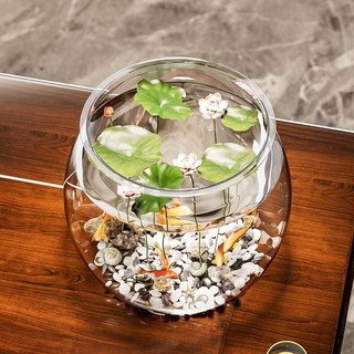 Bể Cá Nhựa Giả Thủy Tinh Chống Sốc Trong Suốt Văn Phòng Cá Vàng Nhỏ Bể Cá Micro Phong Cảnh Sinh Thái Cảnh Quan 24.11.6
