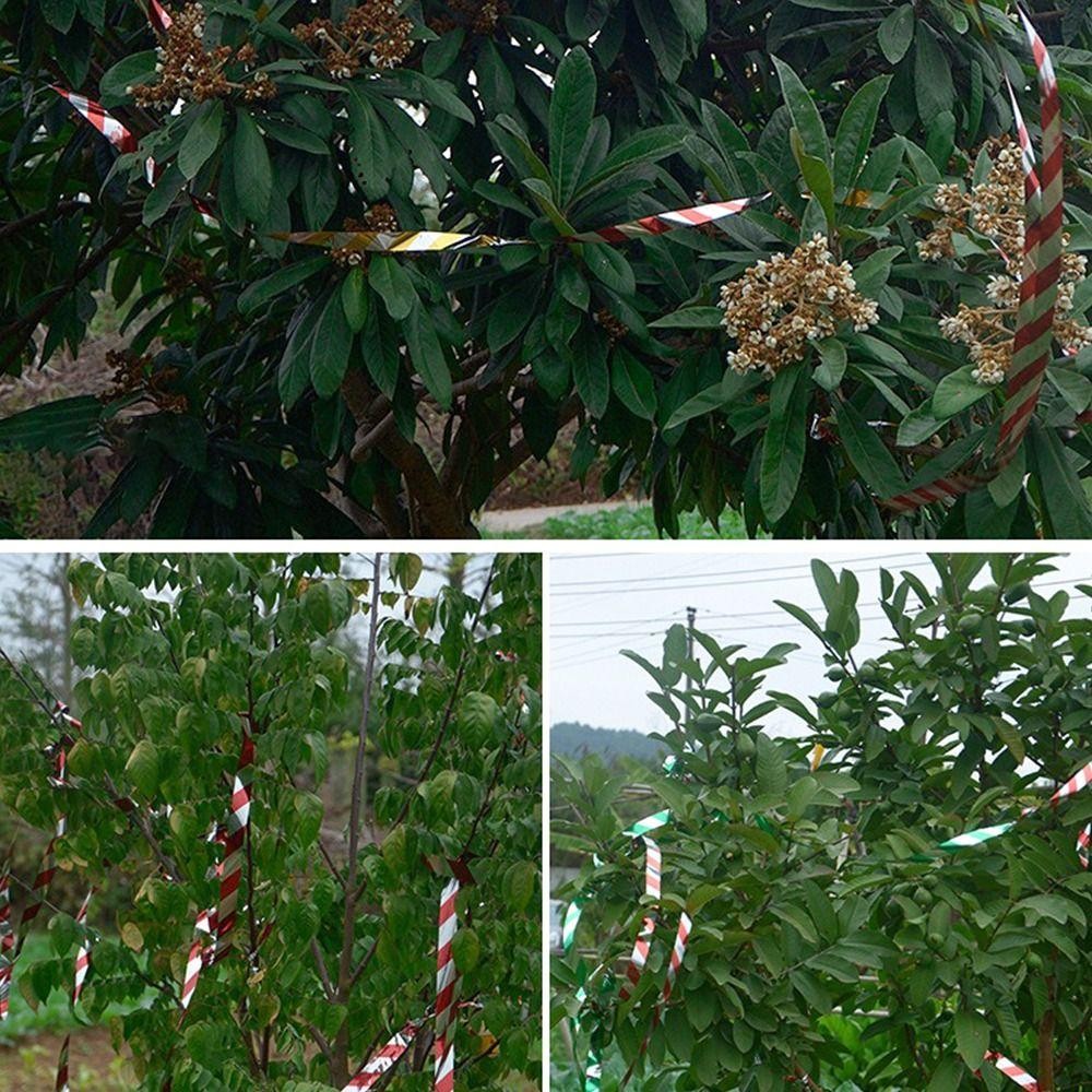 CATMALLER88 50M / 100M Băng đuổi chim, băng treo phản quang hai mặt nhấp nháy, không dính đa năng, thực tế