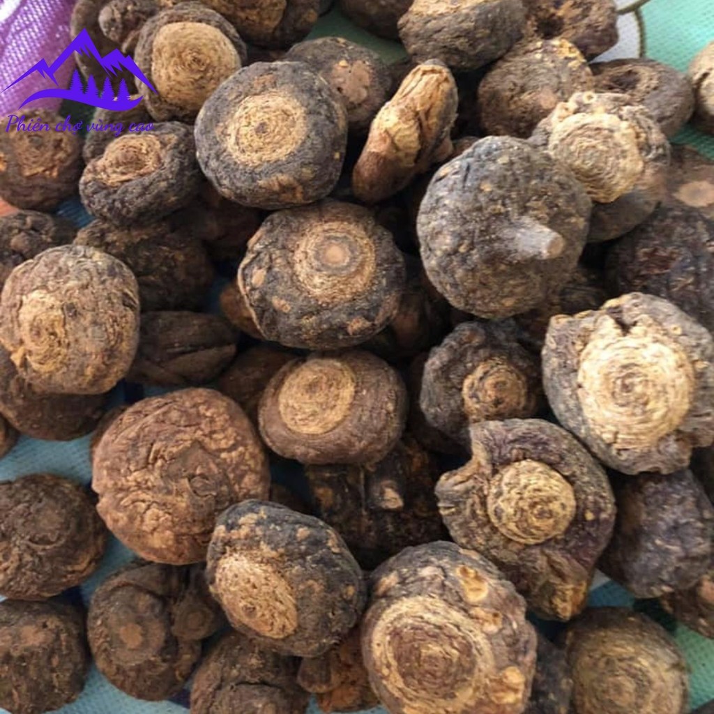 Sâm Maca Peru đen, khô thuộc dãy núi Andes, dượᴄ liệu quý củ sâm macca ...