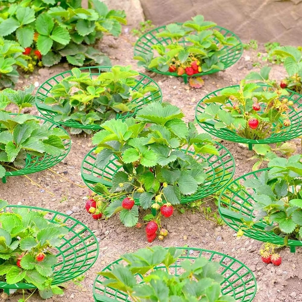 GETVOW Dâu Trồng Khay Giá Đỡ, Giá Đỡ Khung Bảo Vệ Lồng Giá Trồng Rau Giá Đỡ, Chân Chắc Chắn Dâu Tây Hỗ Trợ Thực Vật Giá Đỡ Trái Cây Nhà Kính