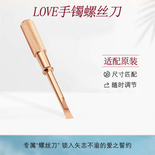 Phần Cứng Chính Xác Tua Vít Thép Titan Có Thể Thay Thế Vòng Tay Cartier Dụng Cụ Vòng Tay Phụ Kiện Trang Sức Tua Vít Hoa Hồng Vàng