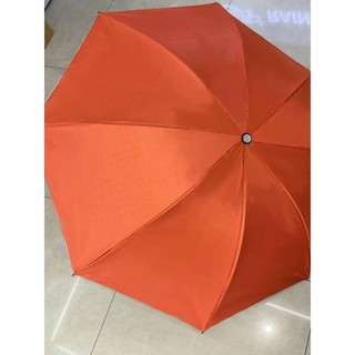 Tấm Che Nắng Gấp Gọn Hình Cà Rốt Phong Cách Hoạt Hình, Chống Tia UV