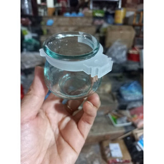 Cóng thuỷ tinh chim chào mào, chích choè, hoạ mi, cu gáy cao cấp
