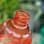 500ml Chai Nước Nhựa Rỗng Cho Salon Cây Thú Cưng Làm Vườn Nhà Bình Tưới Nước Áp Lực er VN