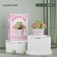 YOLOGO Mô hình chậu mọng nước, Gạch bé gái Đồ chơi trẻ em Khối xây dựng trong chậu hoa DIY, Quà tặng Bàn làm việc tại nhà Trang trí thực vật Đồ chơi giáo dục Bộ khối xây dựng mọng nước Trẻ em